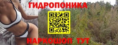 мяу мяу мука Бугуруслан