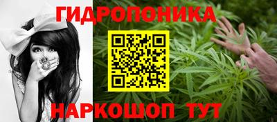 гидропоника Будённовск