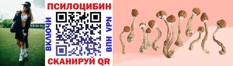 Псилоцибиновые грибы GOLDEN TEACHER Бийск