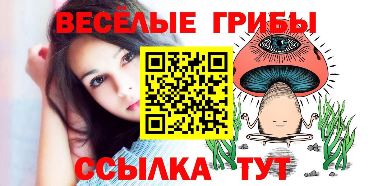 Псилоцибиновые грибы GOLDEN TEACHER Бийск